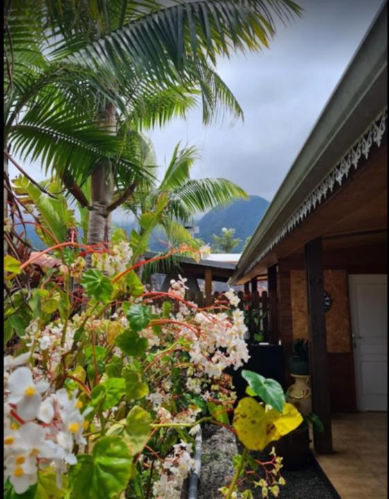 Meuble De Tourisme Makaze Villa Saint-Louis Dış mekan fotoğraf